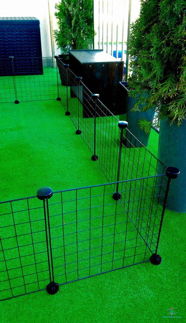 Duży wybieg dla świnki morskiej 4x3 145x110 cm kojec modułowy C&C Duży wybieg dla świnki morskiej 4x3 145x110 cm kojec modułowy C&C
