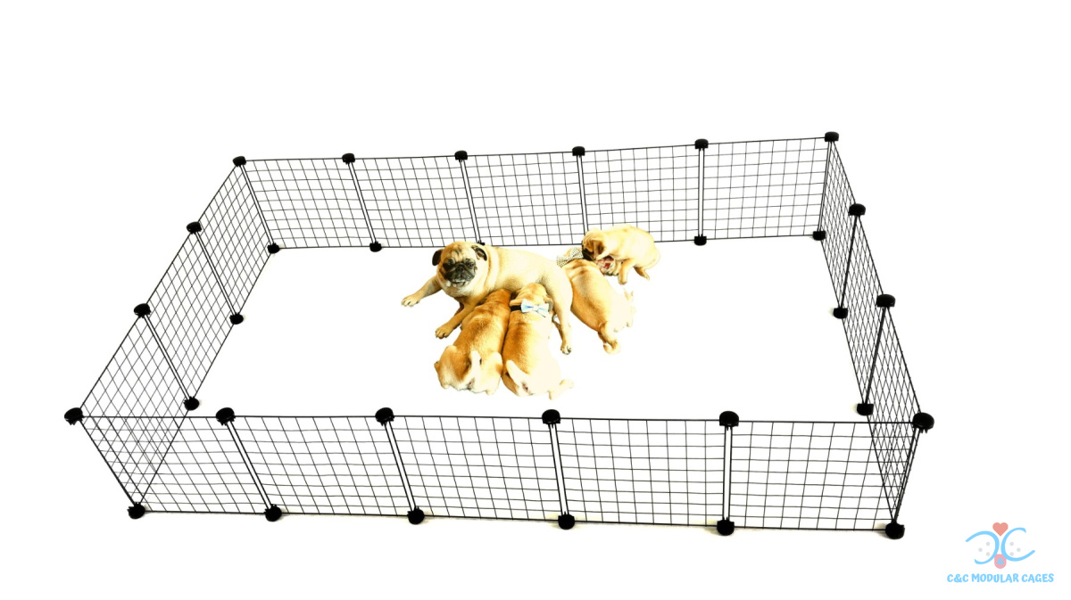 Kojec dla psa 180x110 cm wybieg modułowy C&C Kojec dla psa 180x110 cm wybieg modułowy C&C